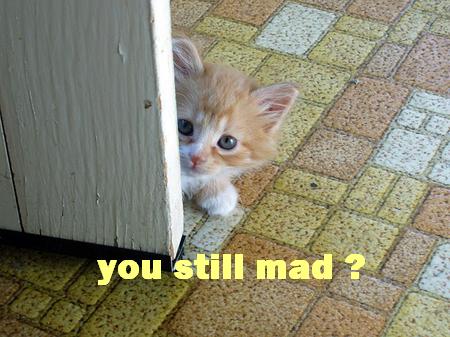 you still mad?