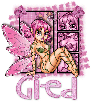 GIED Pink Fairy JA