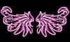 wings pink