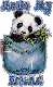 Hello my friend panda