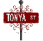 street sign tonya ST