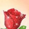 Sparkley Rose