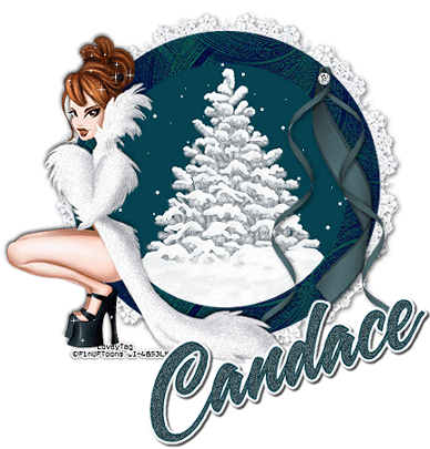 CANDACE Let It Snow RV