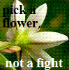 flower not fight