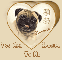Pug Dog You Are Special To Me