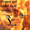 Pirates are better then ninjas