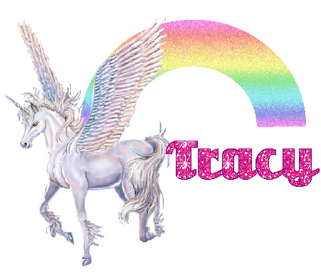 tracy rainboy unicorn