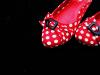 red shoes w/ blacK bacKgrounD
