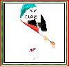 UAE National Flag
