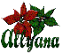 Christmas flowers- Allyana