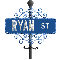 blue street sign ryan ST