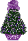 purple mismis tree, Erica
