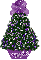 purple mismis tree, Dimples