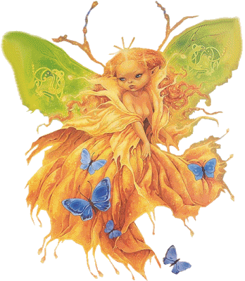 gold fairy
