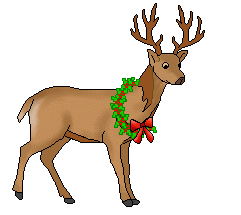 reindeer