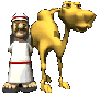 Camel And Arab 