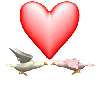 Love Birds 