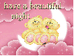 have a beautiful night