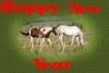 New Year Horses