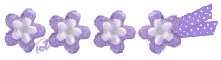 Lavander Cute Flowers