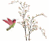 bird with blossoms