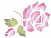 small rose