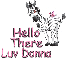zebra hello there luv donna