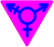 Transgender Pride - Small