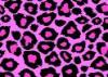 Pink Leopard Spots