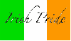 irish pride flag