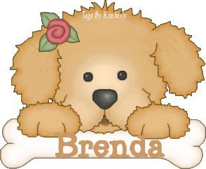 puppy with name brenda