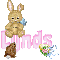 Animated Bunny: Lynds