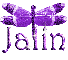 purple dragonfly jalin