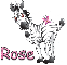 zebra rose