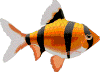 Fisch