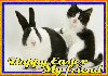 Happy Easter my friend kitty & bunny