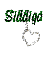Siddiqa