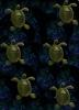 Turtle Background