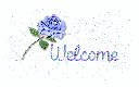 Welcome...Blue Rose