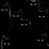 7 black cats