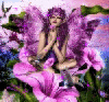 Purple Fairy Sparkle