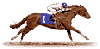 racing horse