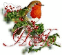 Christmas Bird