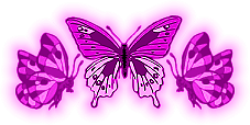 Deep Pink Butterflies