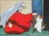Inuyasha playing with a cat