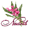 Pink Flower: Nadeth
