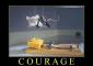 Courage_the rat