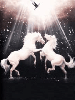 two horses with light
