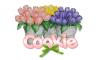 tulips with name Cookie