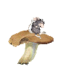 Mouse on a mushroom
